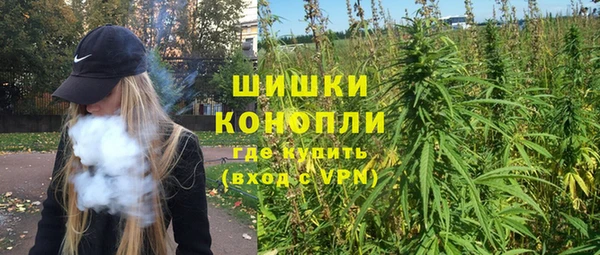 индика Дубовка