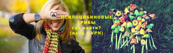 молекула духа Нея