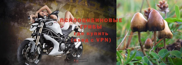 mdpv Нефтекумск