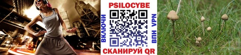 Галлюциногенные грибы ЛСД Ростов