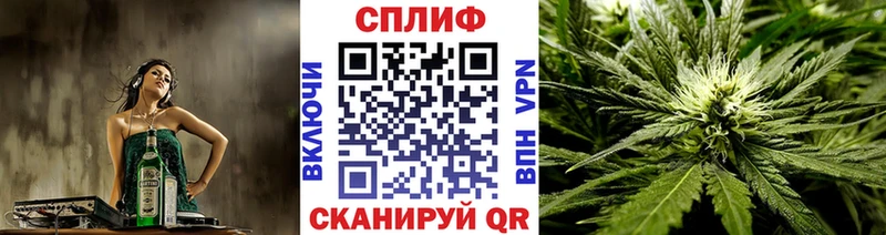 Шишки марихуана сатива  Ростов 